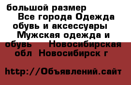 большой размер XX L  (2x) - Все города Одежда, обувь и аксессуары » Мужская одежда и обувь   . Новосибирская обл.,Новосибирск г.